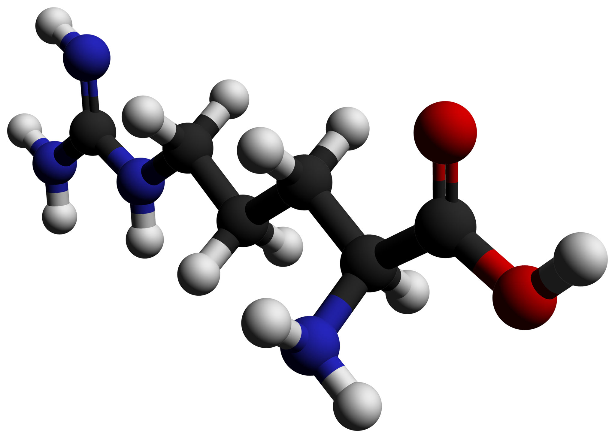 L-arginin